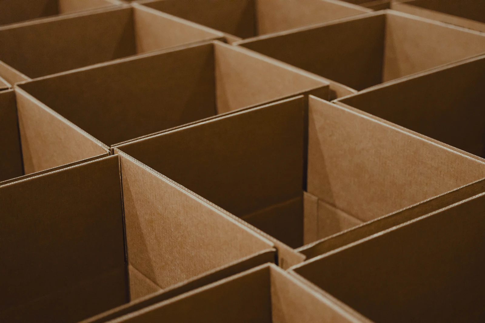 Rows of open corrugated shipping cartons